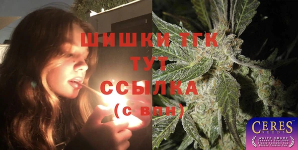 дживик Вязьма