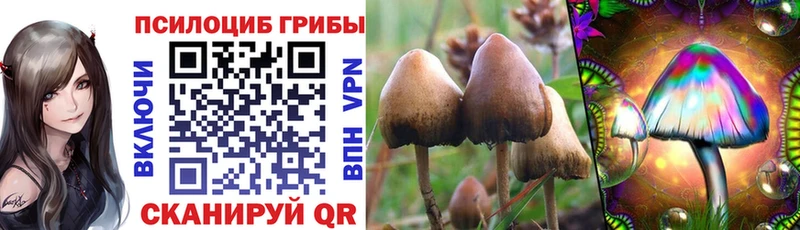 Галлюциногенные грибы Cubensis  Юрьев-Польский 