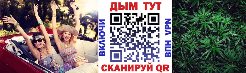 цена наркотик  Юрьев-Польский  Шишки марихуана сатива 